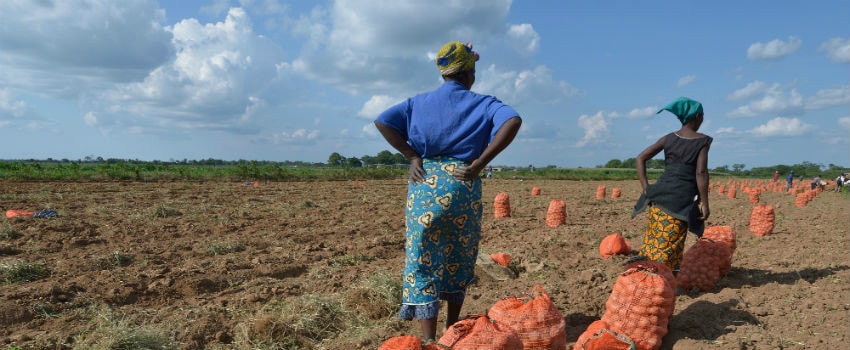 African Farmers