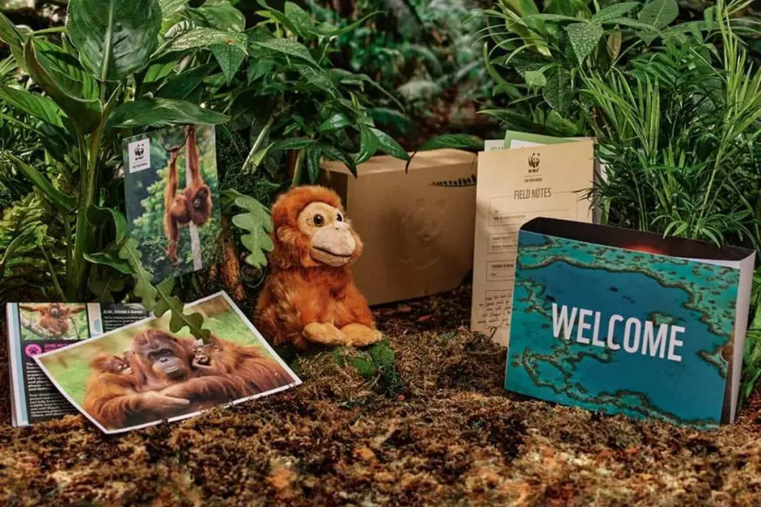 Adopt An Orangutan