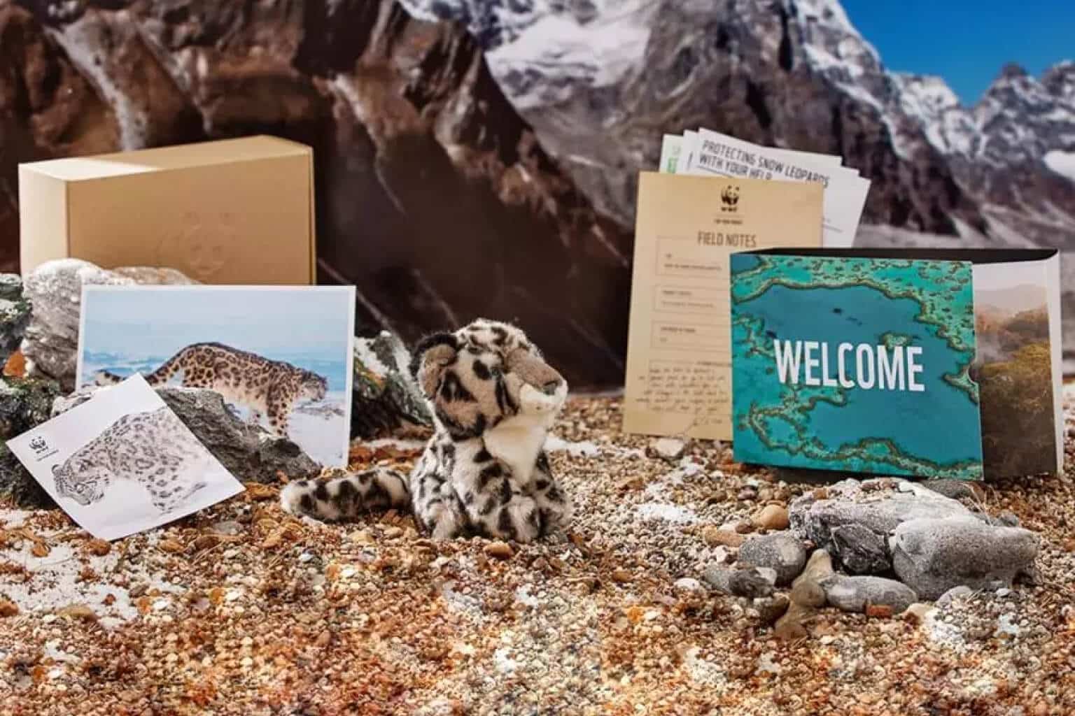 Adopt a Snow Leopard