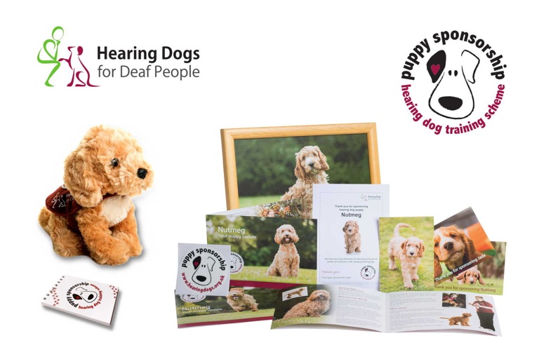 Sponsor a Puppy Colette
