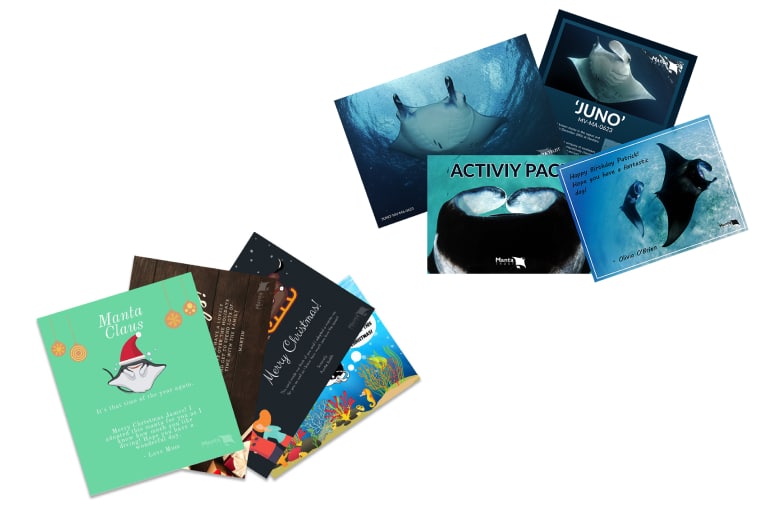 Adopt a Manta – Babaganoush